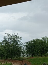 Nagyvisnyó