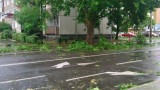 Budapest XI.ker - Albertfalva