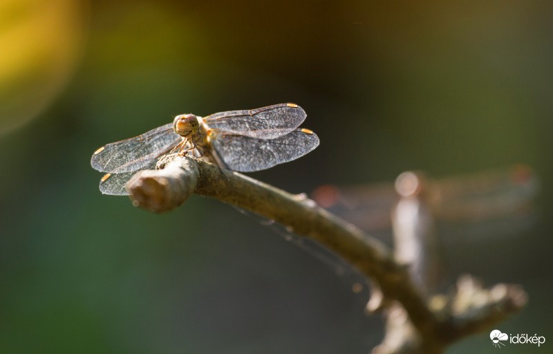 Az egyes felszálhat, kettes felkészűl