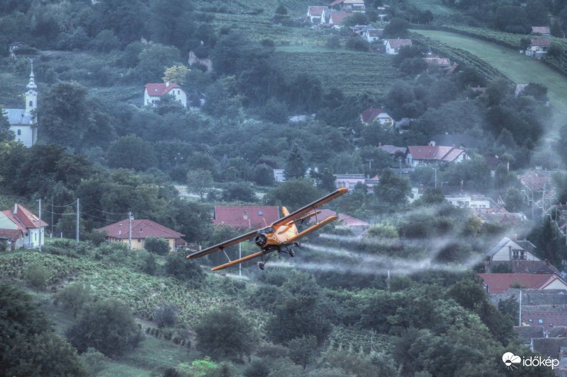 Gyérítés a völgyben