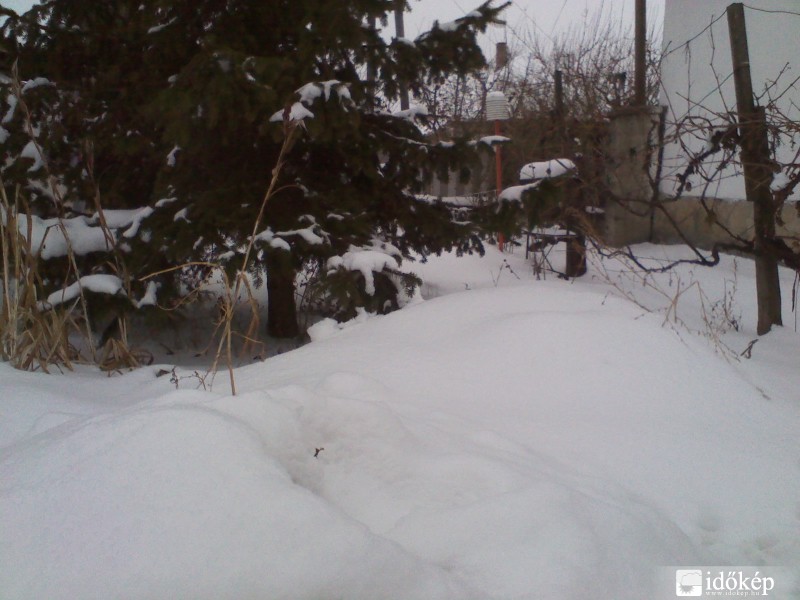 Egy távolabbi kép az árnyékolómról.