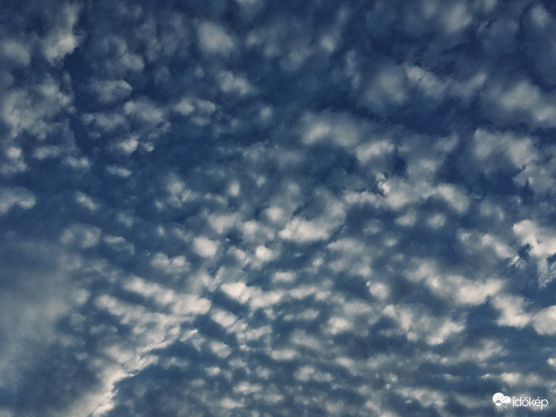 Reggeli cirrusgyülekezet