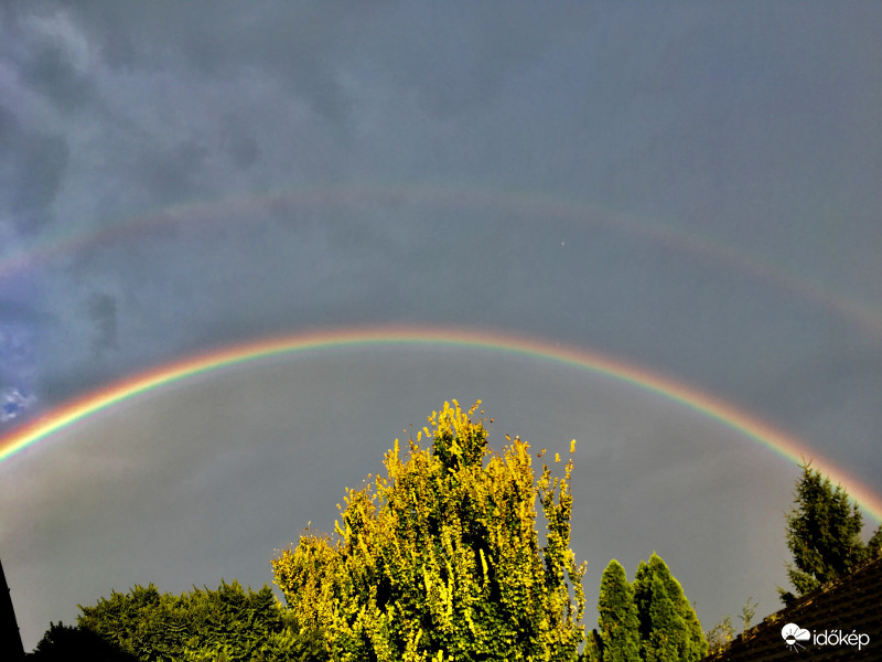 2017 Throwback rainbow