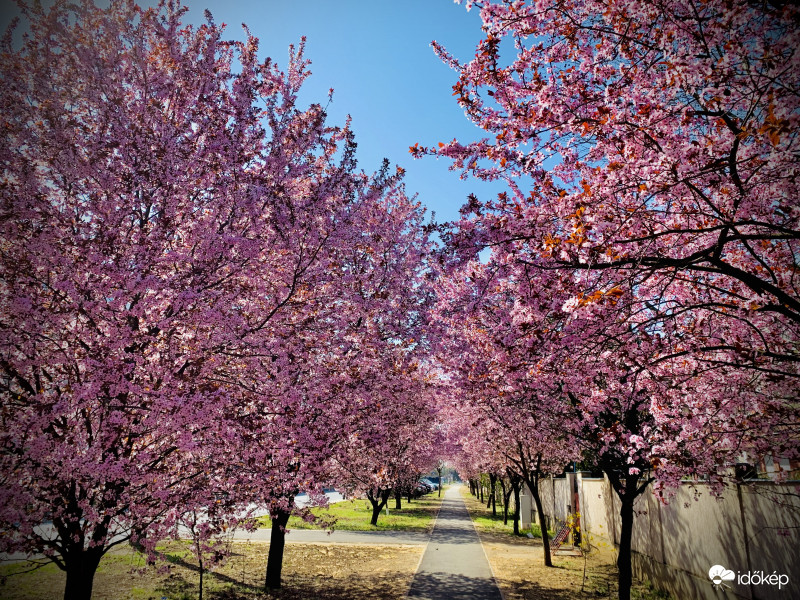 Út a tavasz felé