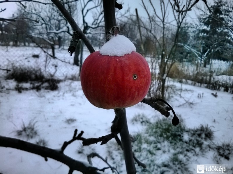 Egy almát? :)