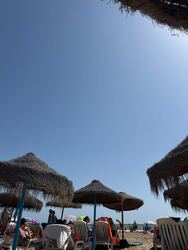 Alboraya