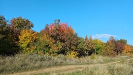 Balatonakali