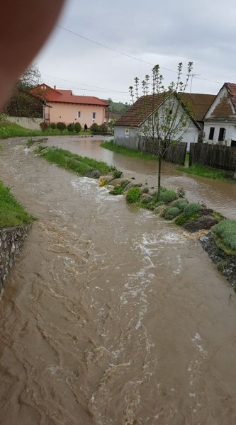 Trizs