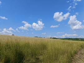 Ragály