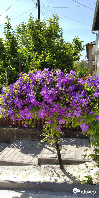 Ragály