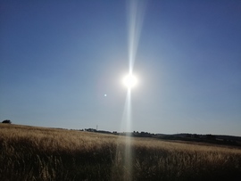 Ragály