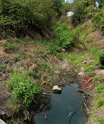 Ragály