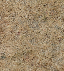 Ragály