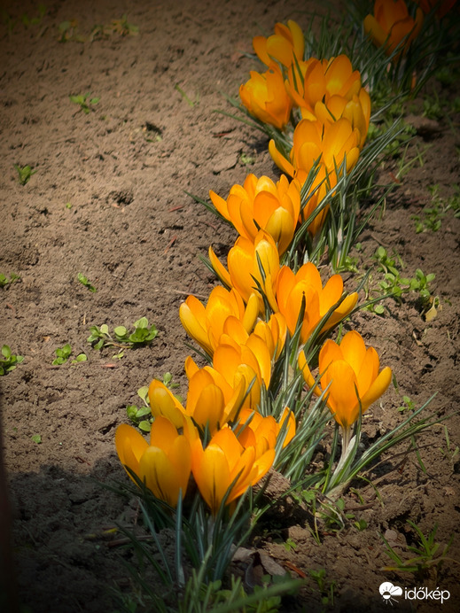 Varázslatos természet