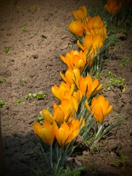 Varázslatos természet