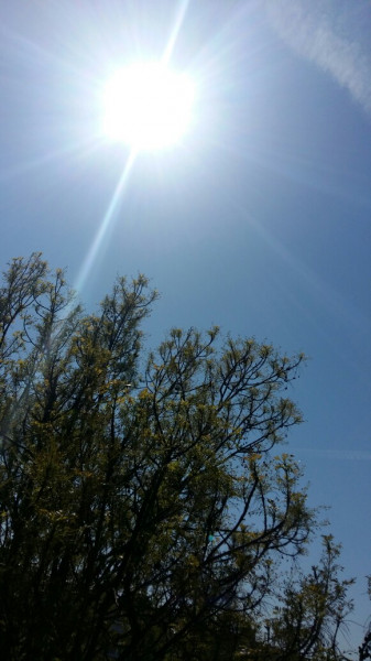 Budapest XIV.ker - Alsórákos