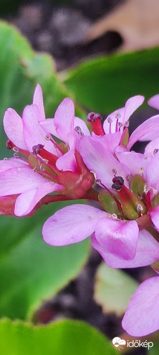 Tavasz Tóth Fanni fotója