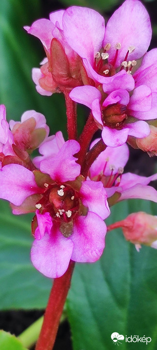 Tavasz Tóth Fanni fotója