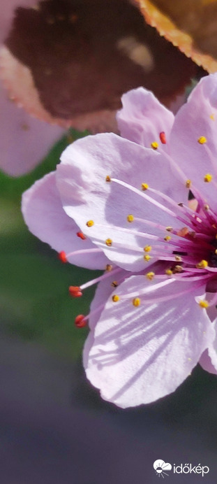 Tavasz Tóth Fanni fotója