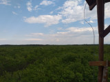 Nyírlugos