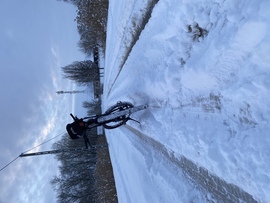 Tiszakécske holt-tisza