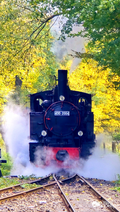 Morgó Királyréten