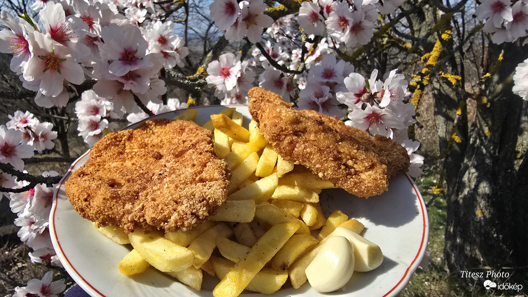 ebéd a mandulafa alatt 