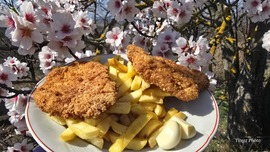 ebéd a mandulafa alatt 