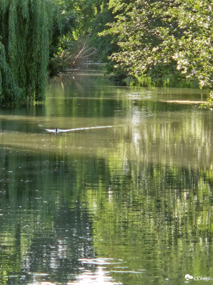 Közeledik