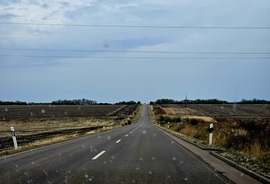 Esőcseppesen