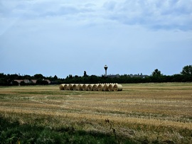 Sorban