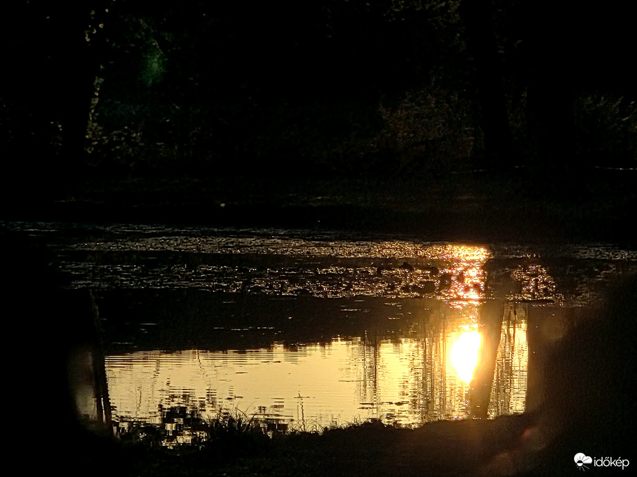 Aranyló őszi naplemente