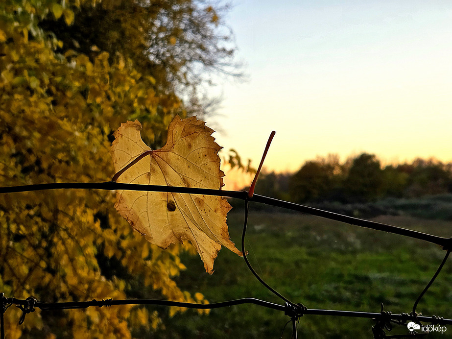 Naplementére várva