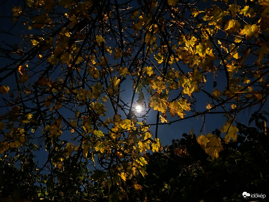 Telihold őszi estén