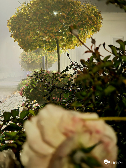 Ködösen is szépek