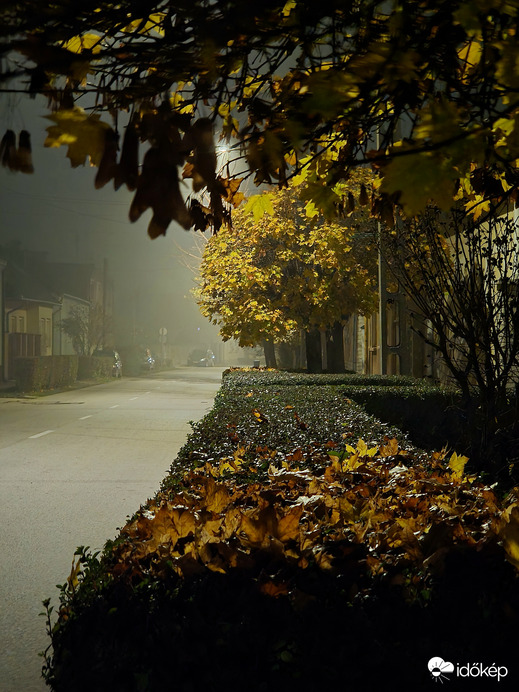 Ködös őszi színek