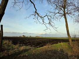 Végre egy kis napsütés hozott némi színeket a tájba