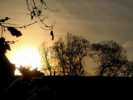 Délután egy kis időre előbújt