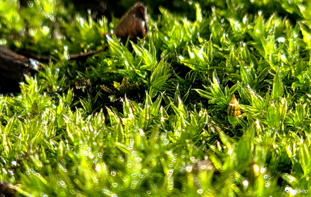 Végre napsütésben