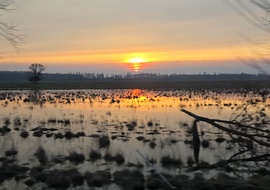 Belvizes naplemente az Alföldön