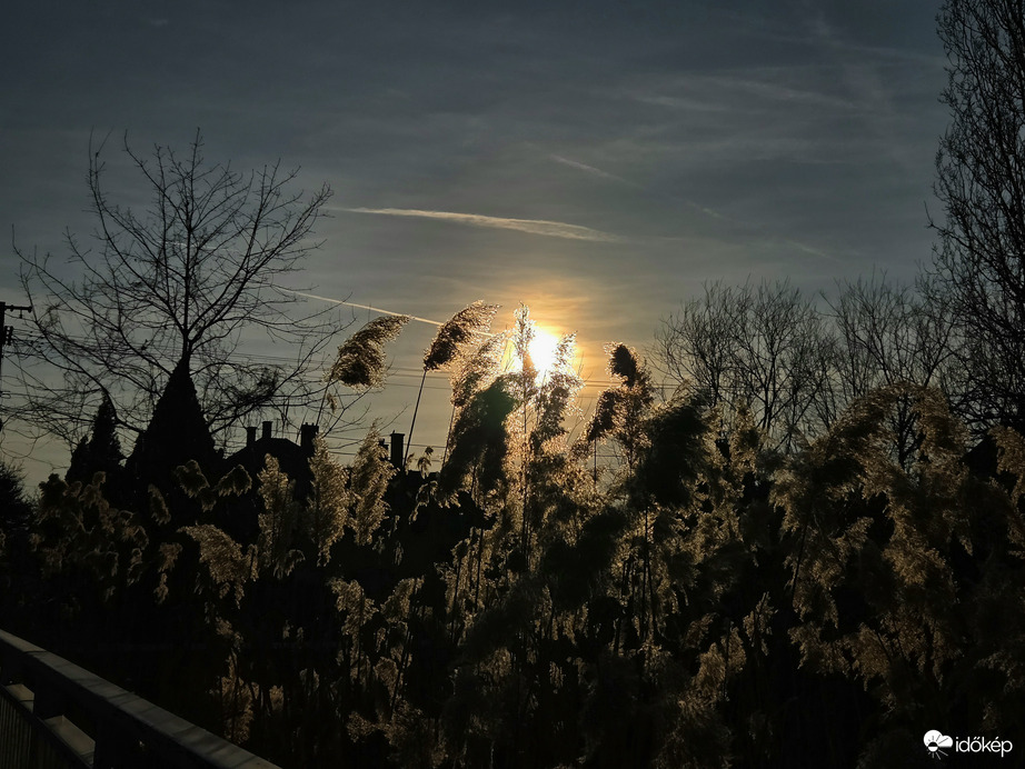 Tavaszi napsütésben