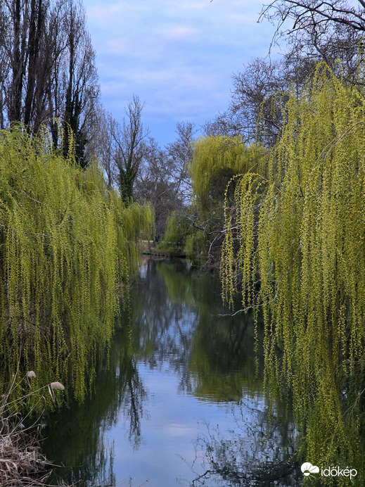 Csak a napsütés hiányzott ma...