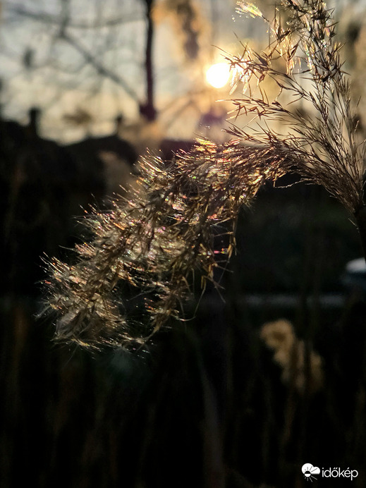 Naplemente ragyogása