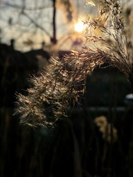 Naplemente ragyogása