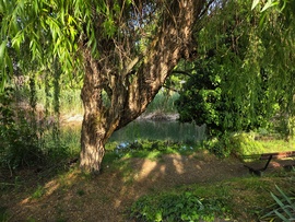 Tavaszi nyugalom