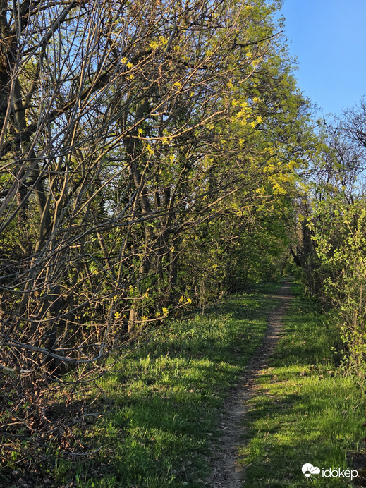 Tavaszi ösvényen