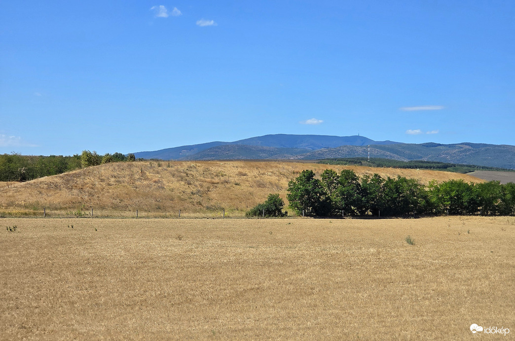 Nyár