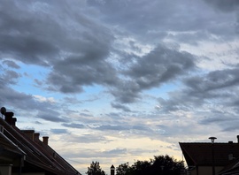 Gyula