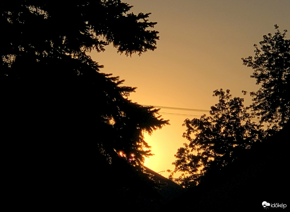 Lement...