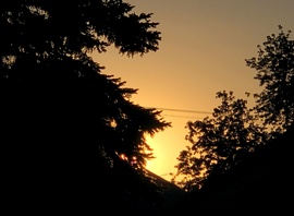 Lement...